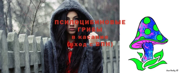 не бодяженный Богородицк