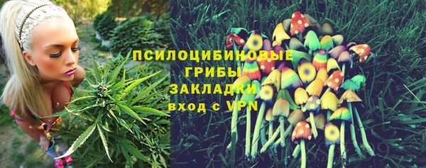 mdma Богданович