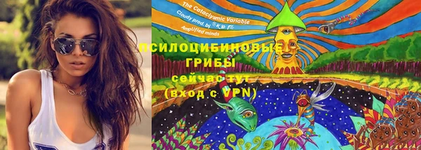 кокс Богородск