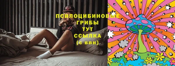 mdma Богданович