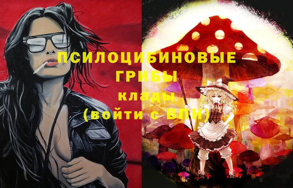mdma Богданович